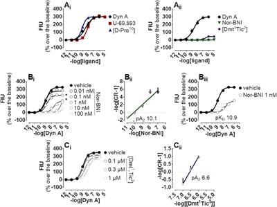 Pharmacology of Kappa Opioid Receptors: Novel Assays and Ligands